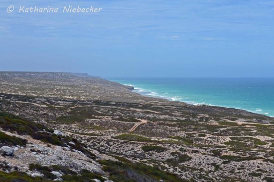 Kurz vor dem Border Village, der Grenze zu Western Australia, veränderte sich die Küstenlandschaft.