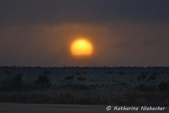 Dank der Wetter-Kapriolen hatten wir einen wunderschönen Sonnenuntergang. Auch wenn das Bild hier unscharf erscheint, sah es in Natura wirklich so aus. Die Sonne wurde durch Nebel oder Wolken in eine Art Schleier gehüllt.
