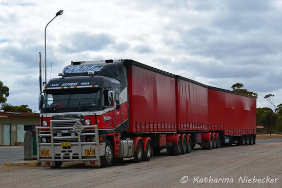 Bei unserem Frühstücks-Stop waren wir von Roadtrains umzingelt. Jeder kennt diese Bilder von Australiens Straßen.... Dieser hier ist jedoch nur ein "kleiner" Roadtrain. Die ganz Großen fahren wohl nur im Nordwesten und Norden von Australien. Auf unserem Weg war dieses Format mit drei Anhängern das größte.