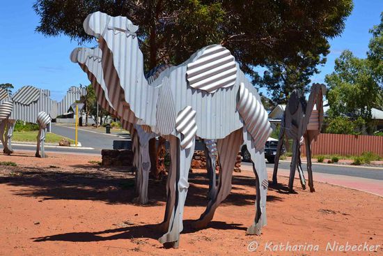 Willkommen in "Norseman" - dem Tor zur Zivilisation für uns oder das westliche Tor zur Nullarbor Plain, wenn man in die andere Richtung fährt. Hier gibt es auch wieder ein wenig Kunst, ganz nach dem Motto "Unsere Stadt soll schöner werden". Menschen trifft man hier aber nicht an. Die Straßen wirken bis auf die weniges Autos wie ausgestorben.