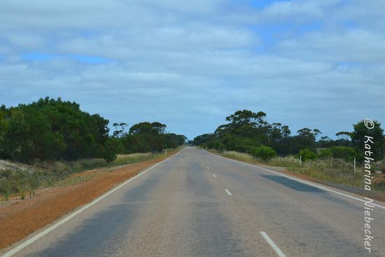 Noch schien die Sonne und es wurde wieder landwirtschaftlicher....