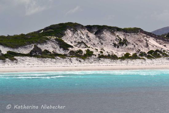 Immer wieder ein Blick auf den Strand der Bucht und den Dünen im Hintergrund, die auch aus dem weißen Sand bestehen.