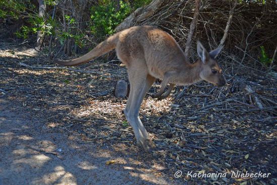 Na gut.... dann verschinde ich doch mal Richtung Strand.....