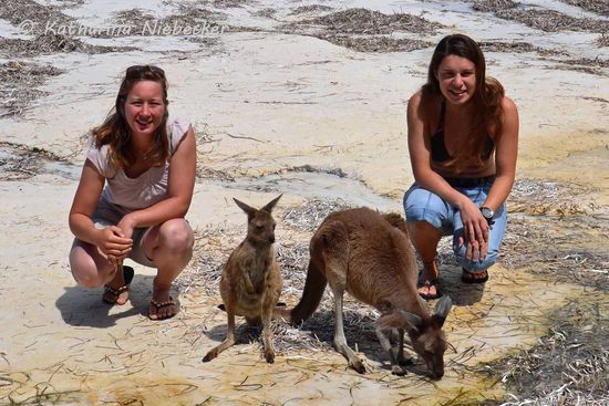 Und zum Abschied von diesem tollen Strand und seinen Bewohnern gibt es noch ein Gruppenfoto.