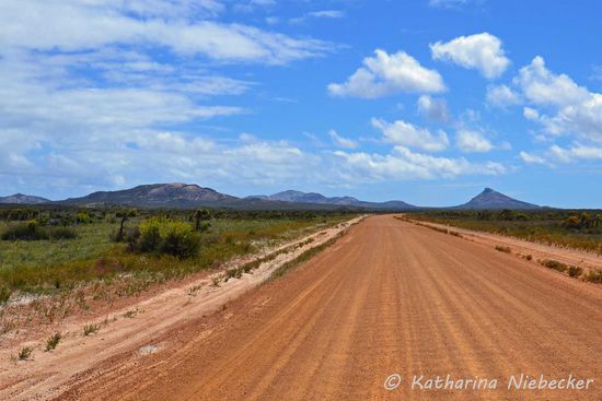 Noch ein Blick über die Straße im Nationalpark auf Erhebungen "Mount Le Grand" (rechts) und "Frenchman Peak" und "Missippi Hill".