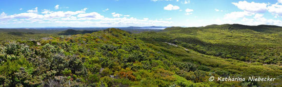 Ein Blick über die sanften Hügel rund um Albany....