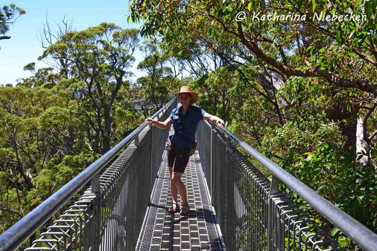 Ich in 40 Meter Höhe auf Aug zu Aug mit den Baumkronen....