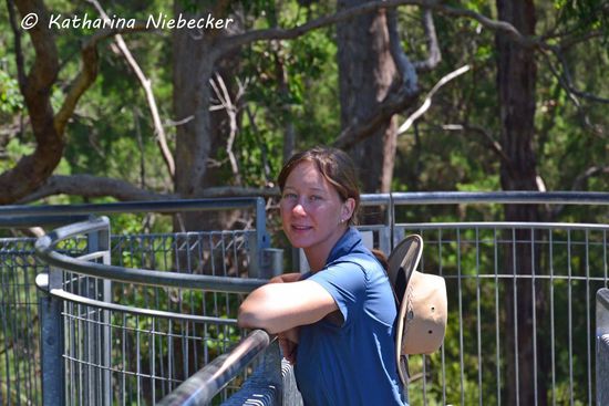 Ich genieße den Wald aus knapp 40 Metern Höhe.....