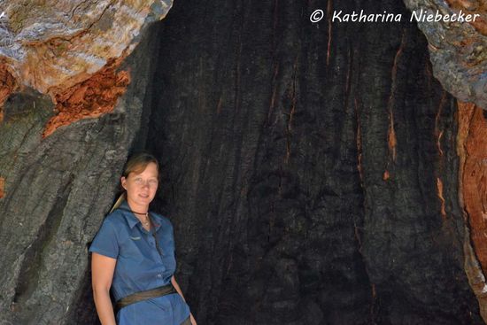 Ich bin nicht ganz scharf abgelichtet, aber trotzdem ein schönes Bild, fine ich. So langsam kann man erkennen, dass ich nach und nach ein wenig bräuner werde......