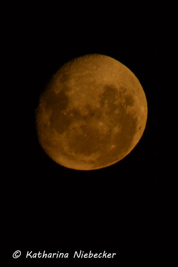 Ein wunderschöner abnehmender Mond über Bunbury.