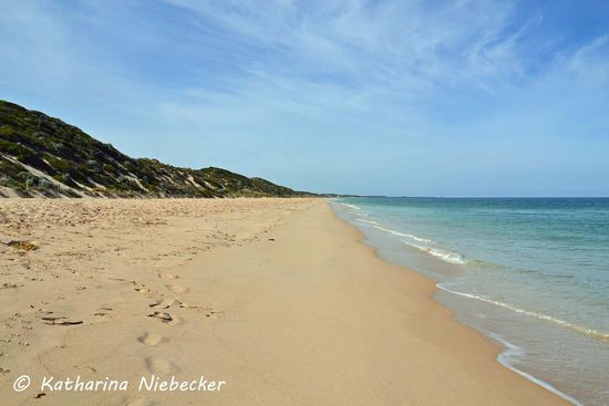 Morgendlicher Strandspaziergang am Dalyellup-Beach, welcher ins schier Unendliche zu gehen scheint. Ich habe zumindest kein Ende entdecken können......