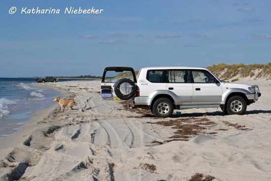 Die Autos parken am Strand.... (dies ist nicht mein Wagen, auch wenn es fast das gleiche Model ist)