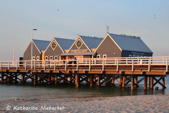 Die vier Häuser des Souveniershops im skandinavischem Stil am Anfang des Jettys im Abendlicht ergeben ein fotogenes Motiv.