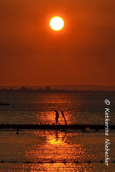 Warum läßt der Mensch bei einem so schönen Anblick nur den Kopf hängen?