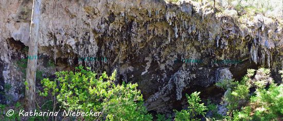 Hier noch ein Blick von oben auf die Höhlenwand....