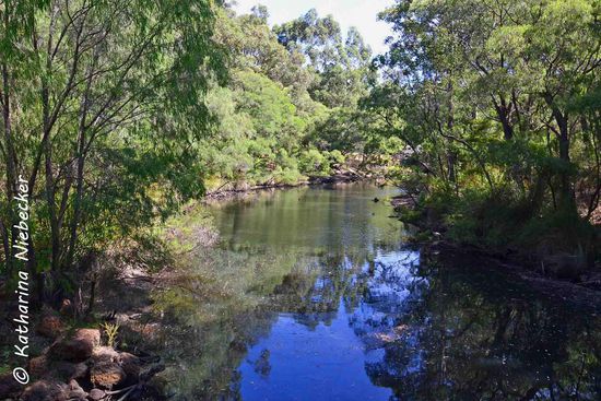 Im Park neben diesem Fluß haben wir unsere kleine Pause gemacht. Nett ist es hier.... Die Australier tun viel für ihre Einwohner, damit sie es auch ja schön hier haben....