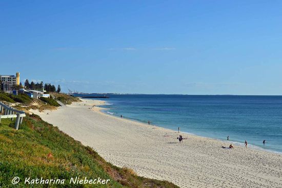 Cottesloe Beach - direkt zu Füßen von Perth liegen traumhafte Strände, die zur Nachmittagszeit kaum besucht sind. Hier kann man es doch aushalten....