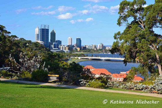 Skyline von Perth CBD vom Kings Park aus gesehen.