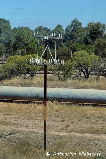 Entlang der Eisenbahnstrecke stehen überall diese alten Strompfosten, die jedoch nicht mehr benutzt werden. Dafür gibt es ununterbrochen neue und größere Stromleitungen....