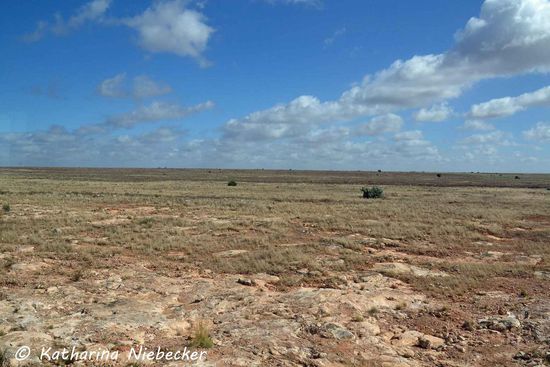 Die Wolken lösten sich zum Mittag endlich auf....