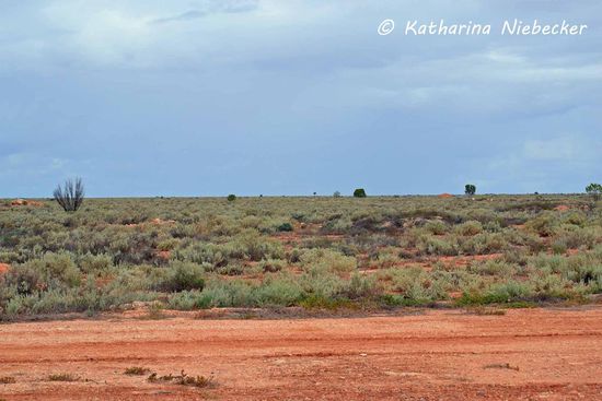 Die Weite der Nullarbor Plain - es gibt hier in Cook immerhin noch zwei Landebahnen, auf denen noch Kleinflugzeuge landen können.