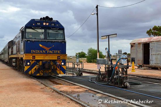 Der Indian Pacific in Cook - Diesel scheint er nicht benötigt zu haben, während hier das Wasser aufgefüllt wurde.