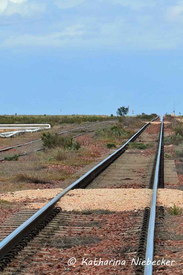 Das Motto des Tages: Immer weiter geradeaus.....