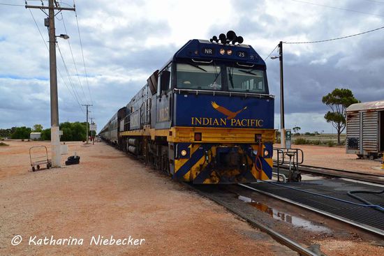 Die Sirene läutet, es heißt wieder: "It's Boarding-time" Ich muß noch knapp 500 Meter bis zum Einstieg in den Red-Service-Bereich laufen.