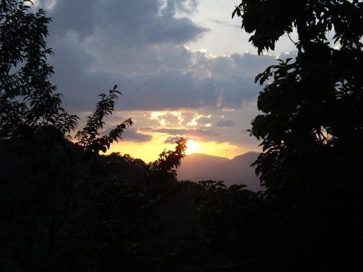 Der Ausblick von meiner Terasse im Osho-Verein.