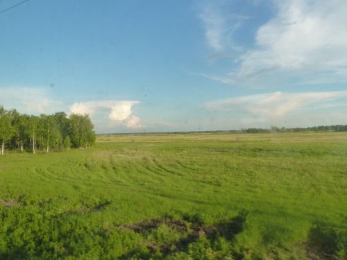 Landschaftlich wechseln sich Wälder und Steppe ab.