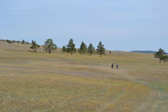 Ein häufiges Bild in Sibirien: die karge Weite der Steppe