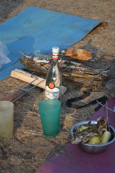 Gegrillter Omul mit Kartoffeln und Wodka. Lecker!