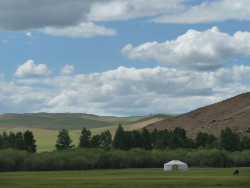 Ein Ger vor typisch mongolischer Landschaft im Orkhontal.