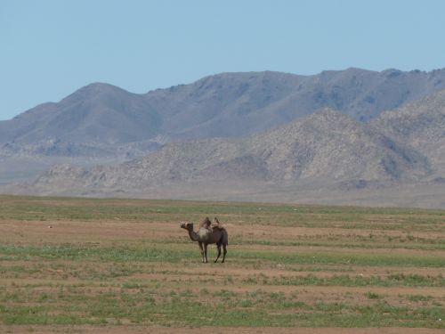Auf dem Weg zur Kleinwüste Gobi.