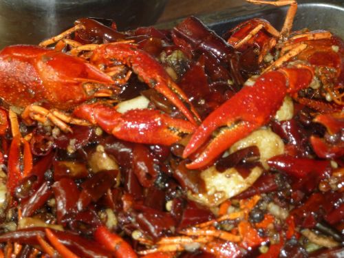 Langusten mit viel Chili - teuflisch scharf und sehr lecker. Danielas geheimer Restaurant-Tipp für Peking.