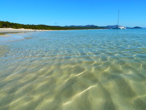Kristallklares Wasser am Whitehaven Beach