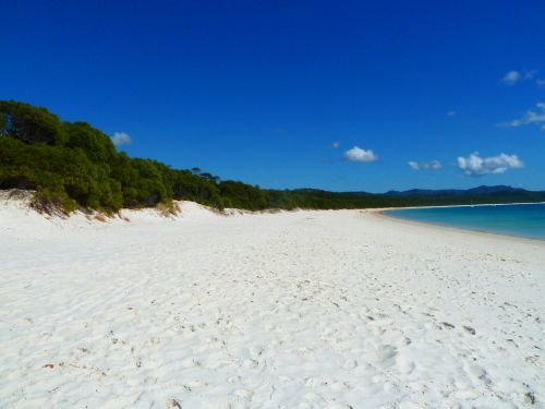 Whitehavenbeach zum zweiten.
