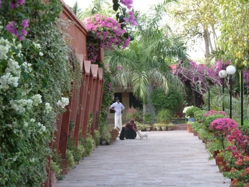 Unsere Unterkunft in Agra: das Hotel Sheela. Sind wir eigendlich bei diesen Absteigen "echte Backpacker"? Egal.