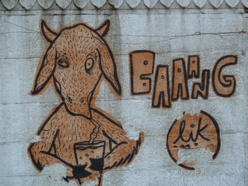Varanasi Street Art