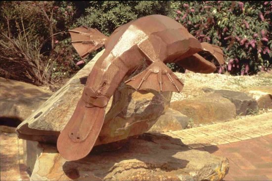 Latrobe - die Stadt der Schnabeltiere