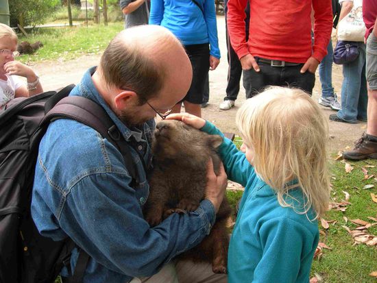Echt knuddelig der Wombat