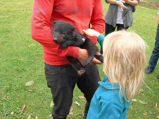 Ein Teufel zum Streicheln