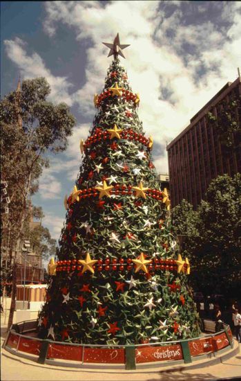 Nur Plastiktannen halten das Wetter aus