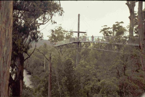 Luftiger Steg über dem Huon River