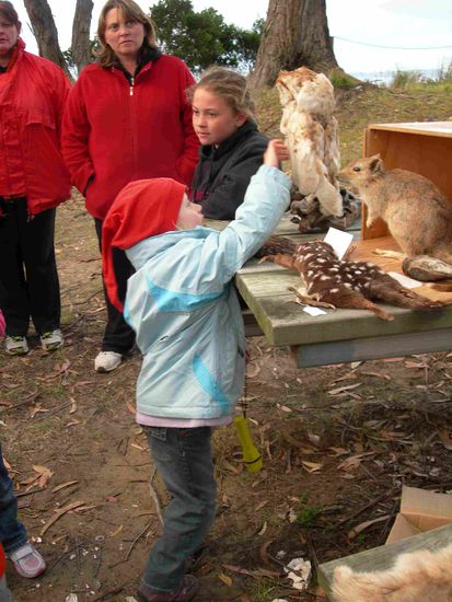 Vor der Nachtwanderung