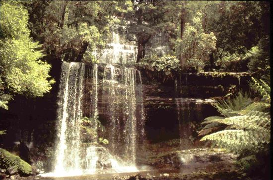 Russel Falls, leider etwas zugewachsen