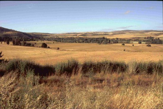 Tasmanische Landschaft