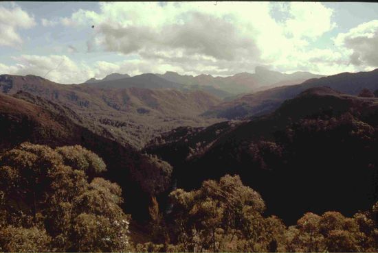 Blick vom Donaghys Hill in den Süden