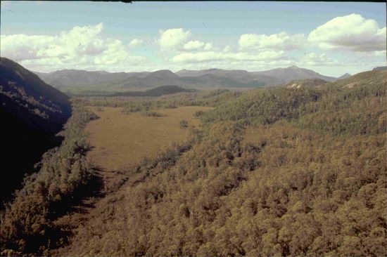 Blick vom Donaghys Hill in den Nordwesten