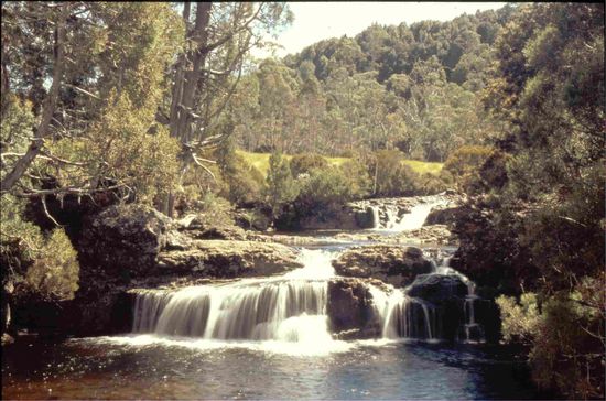 Der Wasserfall am Pencil Pine Walk